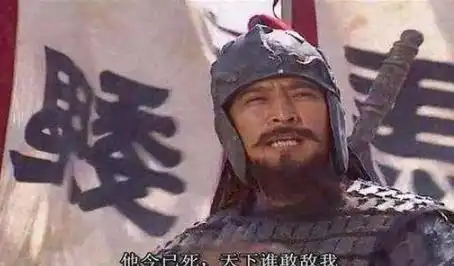 年少不识魏文长,看懂已是不惑年魏延真的该死吗
