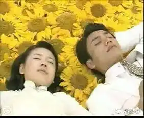 一花一世界,漂亮裙子穿起来,相机掏出来,这里的向日葵等你来搜狐网
