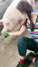 妹子,猪肉价格这么贵,原来你是用啤酒喂啊
