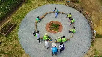 错过春日昙花,都市里还有小森林郊游去哪上海篇
