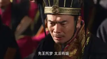 芈月传樗里疾剧照
