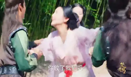 楚乔传又有无辜的少女被抓进极乐阁,楚乔下定决心去刺杀宇文席
