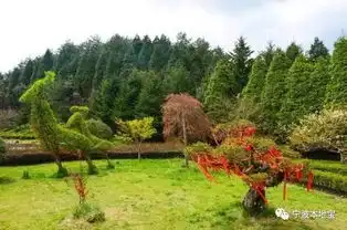 四明山国家森林公园,本周六百辆花车闹花海开始啦
