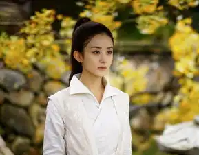 赵丽颖要和国民校草合作,这部剧绝对要炸掉