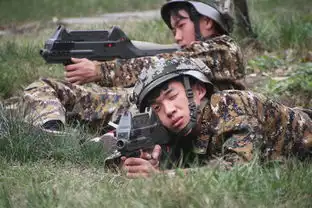 太阳的后裔,it特种兵忍你很久啦四川新华电脑学院官网计算机it人才培训基地

