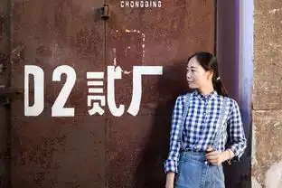 猎艳行动山城重庆,从你的全世界路过
