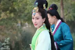芈月孙俪与三男纠葛
