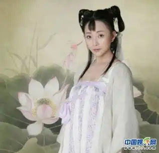 陈乔恩胡杏儿殷桃袁珊珊女星奇葩古装造型雷死人
