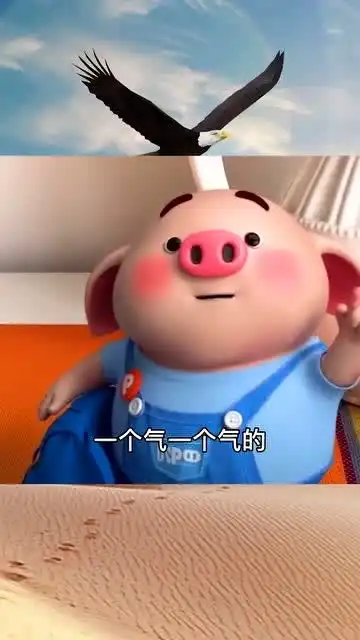 猪小屁学中式英语太搞笑了,哈哈
