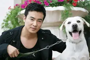 煎饼侠剧照于波