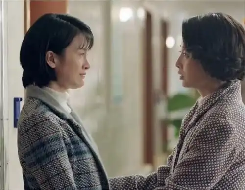鸡毛飞上天一眼就看透骆玉珠本质的陈金水,才是真正的老狐狸
