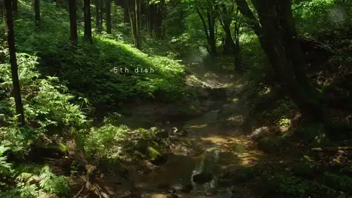 为什么对小森林的评价会那么高
