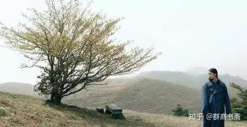 看哭了史上最感人的爱情山楂树之恋
