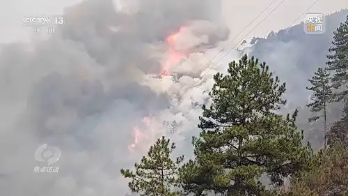 焦点访谈丨严防小火酿大祸清明前后怎么严防森林火灾
