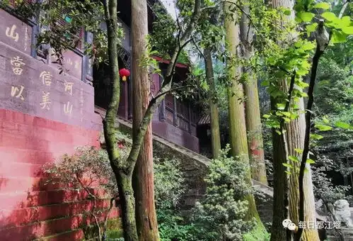 黑神话悟空强势出圈随天命人游青城山都江堰,重温经典西游
