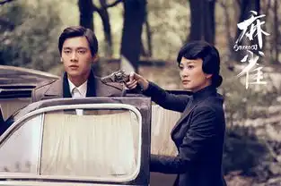 麻雀李小冉悲情落幕谱写壮烈进行曲

