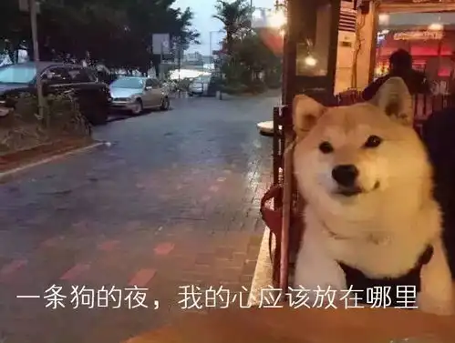 网红520秀恩爱外星人连发大额红包,二驴向老婆平荣表白
