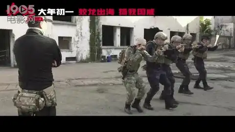 黄景瑜红海行动战地日记
