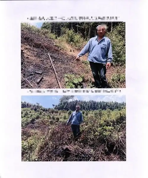 防患于未燃森林火灾警示案例,引以为戒
