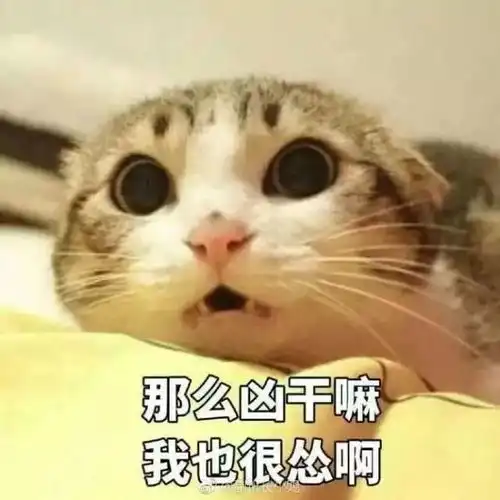 小编带你一起看电影烧脑篇
