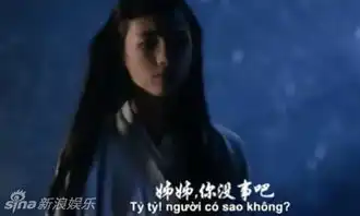 太雷越南翻拍花千骨盘点越南翻拍的电视剧
