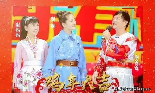 谢娜妈妈罕见现身扎起马尾辫穿印花卫衣清新减龄,还与女儿撞脸
