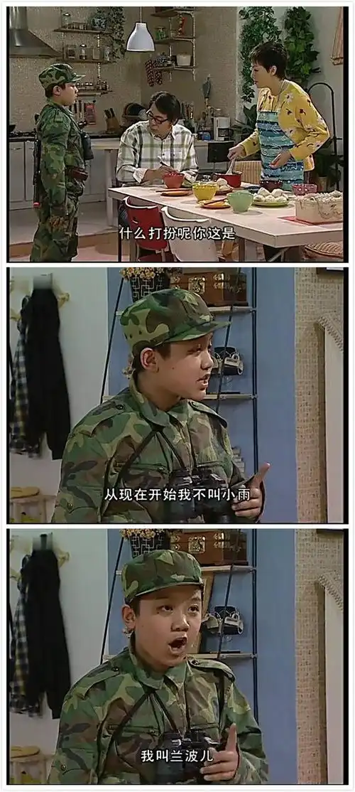 家有儿女剧照神风刀