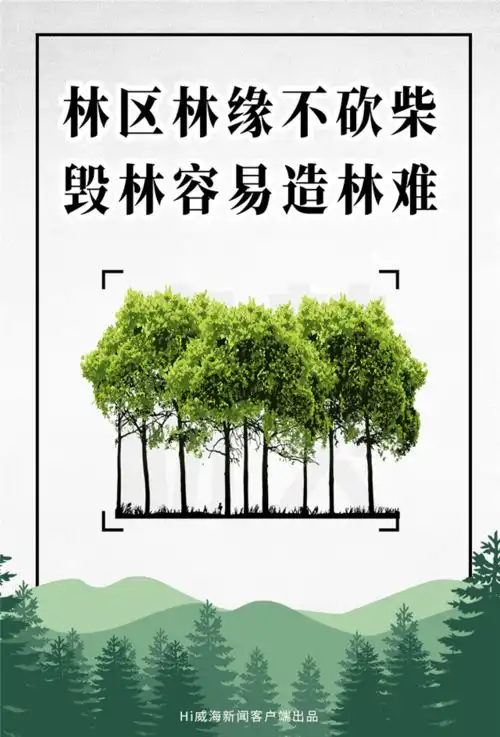海报丨关于森林防火,这些知识你要知道