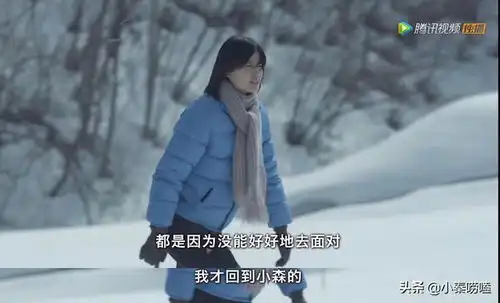 小森林剧照日版