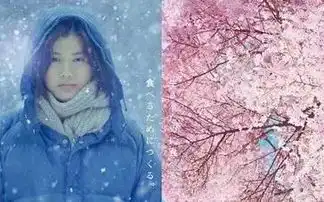 冬春的小森林