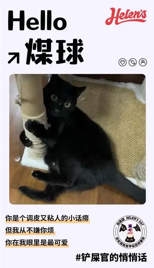免费招待1000只夜猫子,海伦司爱心营销再破圈
