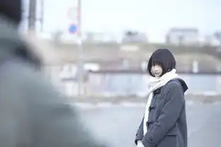 岁月有声,安静观影那个还不是小森林里的桥本爱