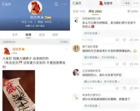 饭圈都攻不进去的虎扑jrs为何主动为她出圈献上杠铃式应援
