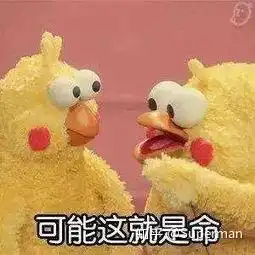 更新appleid一直转圈怎么回事