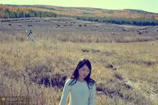 塞罕坝上,秋天的童话不远千里的追逐
