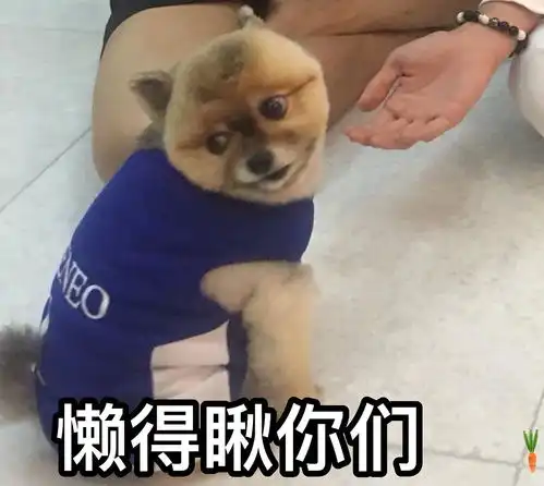 给湾仔们开个表情包楼持更新图补评论里
