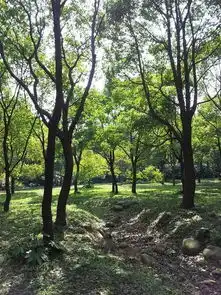 搜狐体育搜狐网
