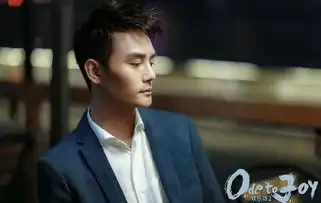 欢乐颂2十位主演悉数亮相贺岁迎新