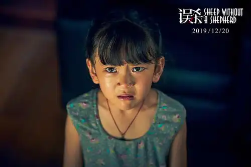 我的收藏