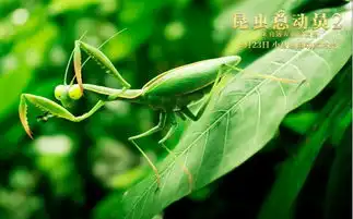 8月23日小身躯撼动大世界
