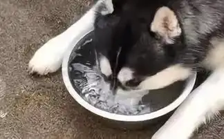 小七的第一次探店结束了这顿饭我喝了一吨水