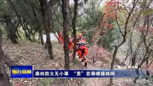 森林防火无小事责在翠峰绿林间
