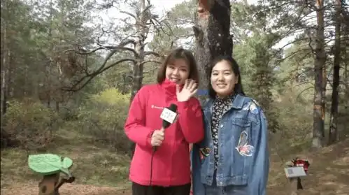 在内蒙古这座城城中有森林许你一场秋天的童话
