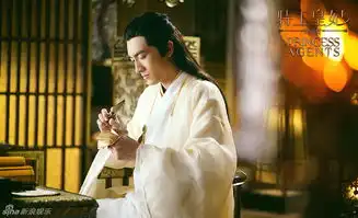 特工皇妃楚乔传发布剧照赵丽颖成女奴李沁清新
