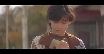 情书日本1995年岩井俊二执导电影搜狗百科
