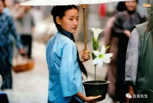 青春若有张不老的脸