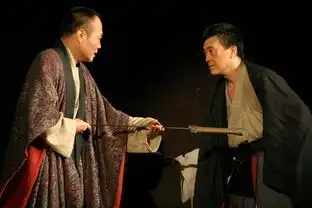 资料图片话剧刺客演出剧照21

