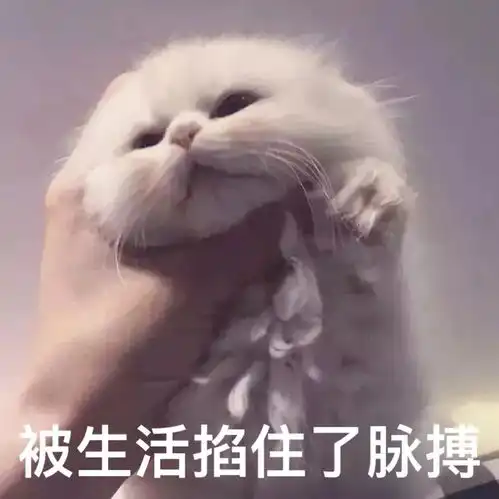 征集原来你是这样的毒鸡汤精美台历
