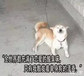 网通社汽车贵州佰润黔之奥
