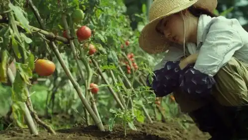 我的食物与你有关现代社会关于农业与食品的争议